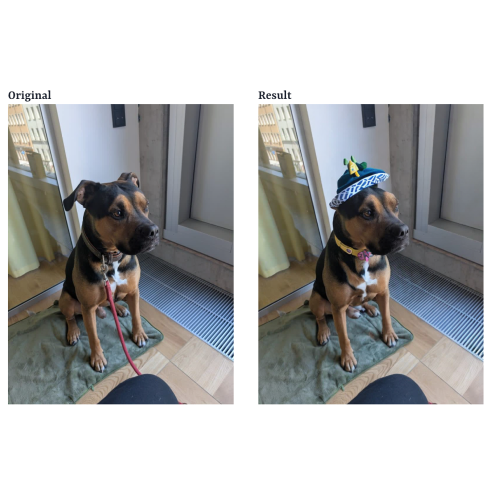 Dress Up Your Darling! ChangeClothes.ai Now Supports Pets! 🐾